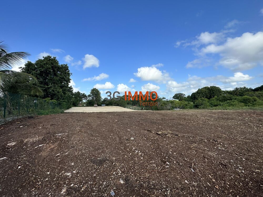 Vente Terrain Terrain constructible Sainte-anne