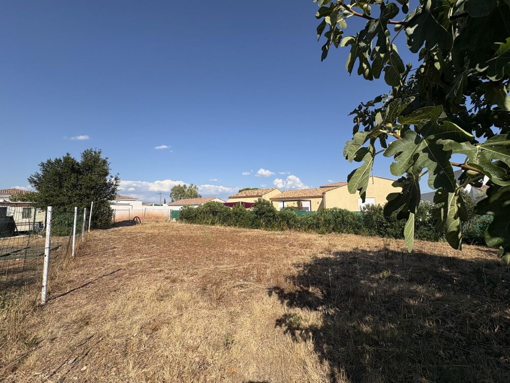 Vente Terrain Terrain constructible Canet