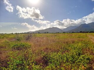  Terrain  vendre 2077 m