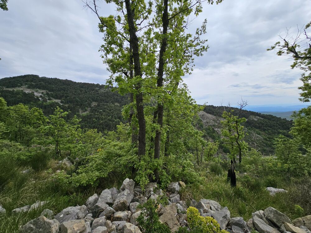 Vente Terrain Terrain Saint-vallier-de-thiey