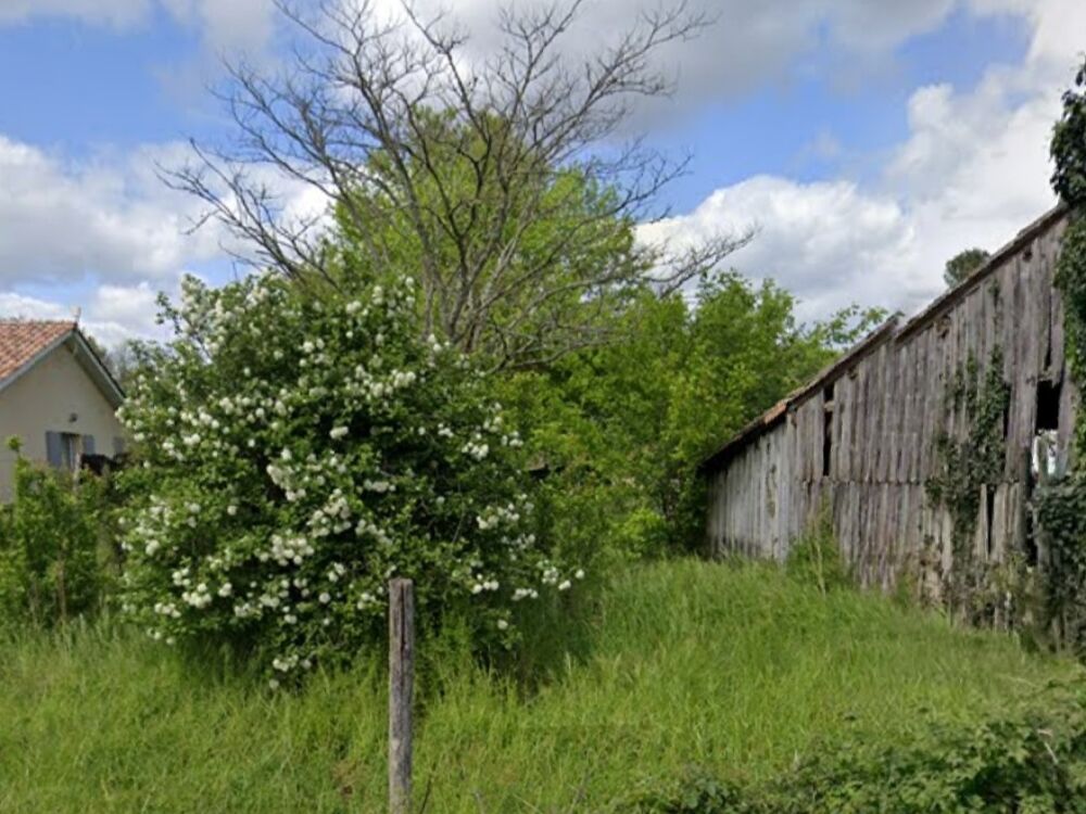 Vente Terrain Terrain Bazas