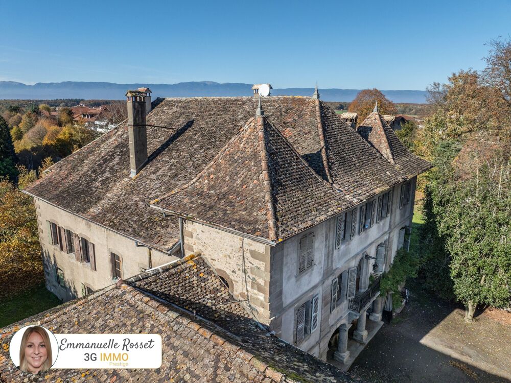 Vente Maison Domaine 15 pièces Douvaine