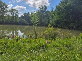  Maison � vendre 370 m�