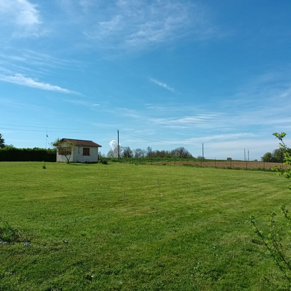 Vente Terrain Terrain constructible Châtillon-la-palud