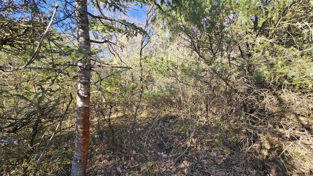 Vente Terrain Terrain Saint-vallier-de-thiey