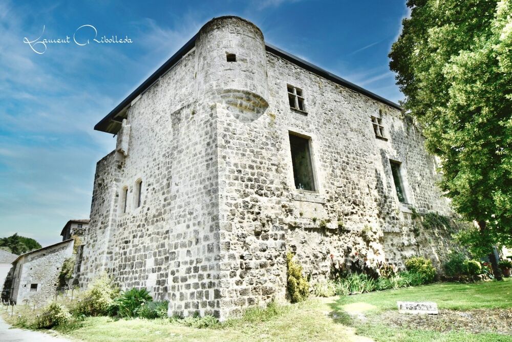  vendre  Proprit/chteau Nrac (47600)