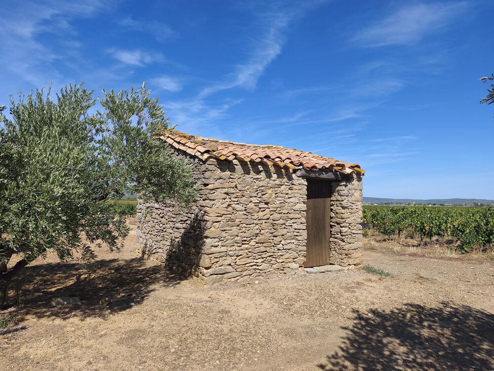 Vente Terrain Terrain agricole Azille