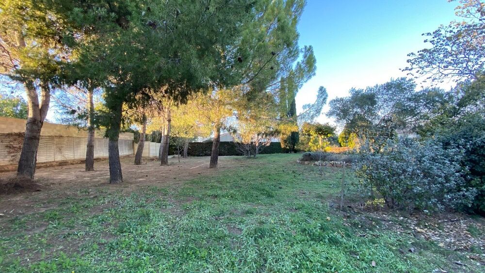 Vente Terrain Terrain constructible Abeilhan