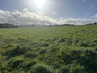  Terrain � vendre 3368 m�