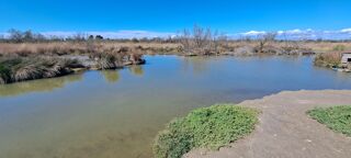  Maison � vendre 9 pi�ces 