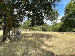 Maison 7 pièces 178 m² · à Tonnay-Charente · 178 m² · 449 000 €