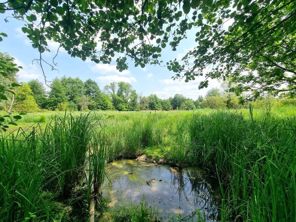 Vente Immeuble Immeuble 20 pièces Nemours
