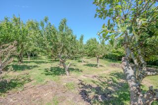 Terrain à vendre 902 m²