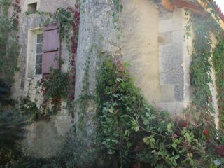 Maison à vendre 5 pièces 400 m²