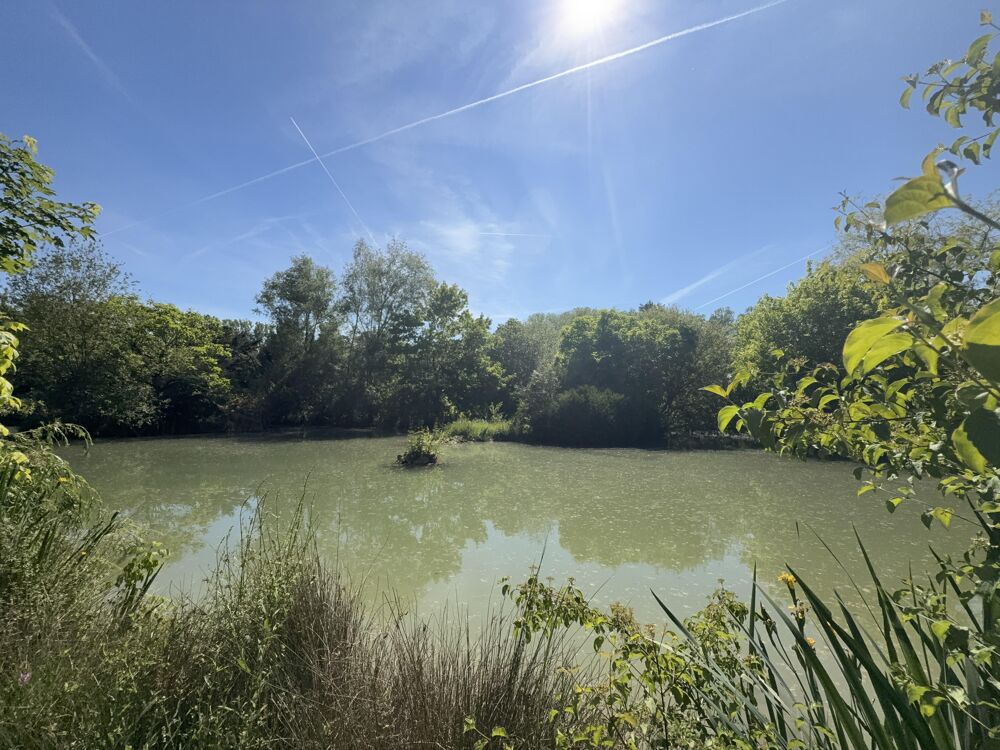 Vente Terrain Vente murs pro  à Cahuzac-sur-vère Cahuzac-sur-vère