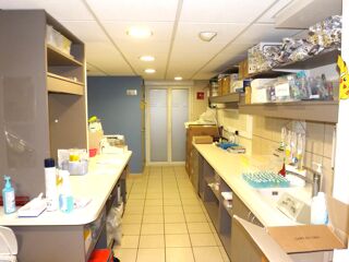  Immeuble � vendre 256 m�