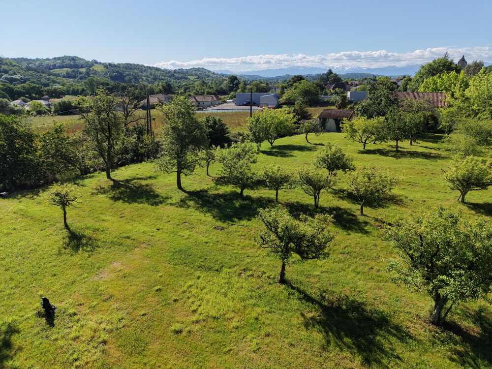 Vente Terrain Terrain constructible Monein