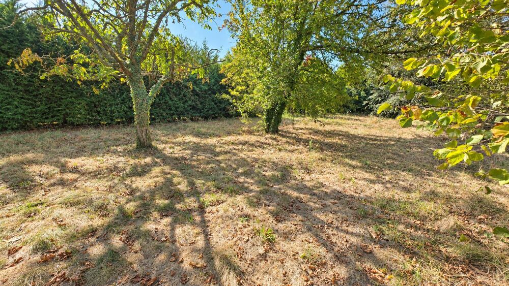 Vente Terrain Terrain constructible Saint-georges-de-reneins