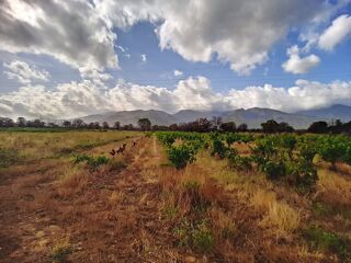 Terrain  vendre 5015 m