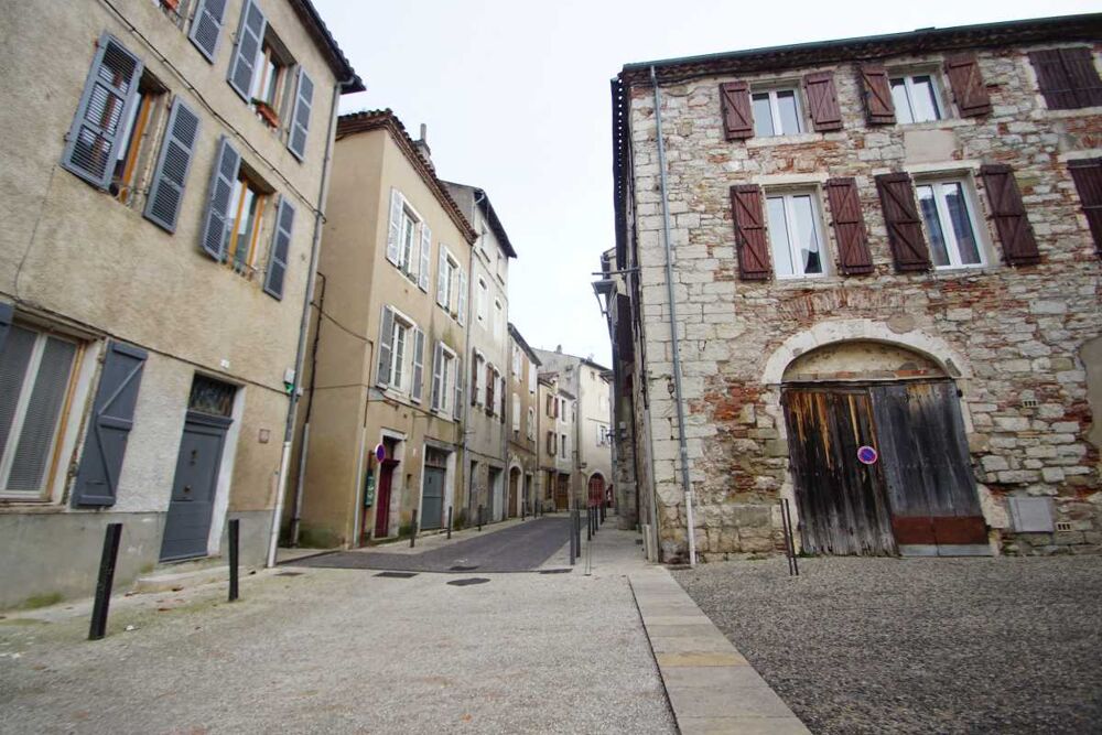Vente Viager Appartement 3 pices Cahors