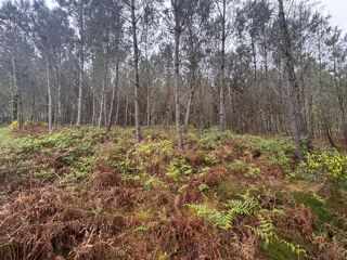  Terrain  vendre 48400 m