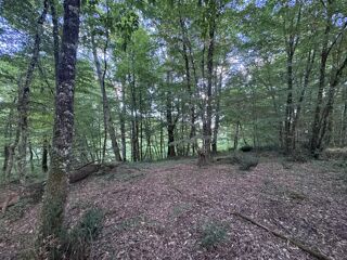  Terrain � vendre 50154 m�