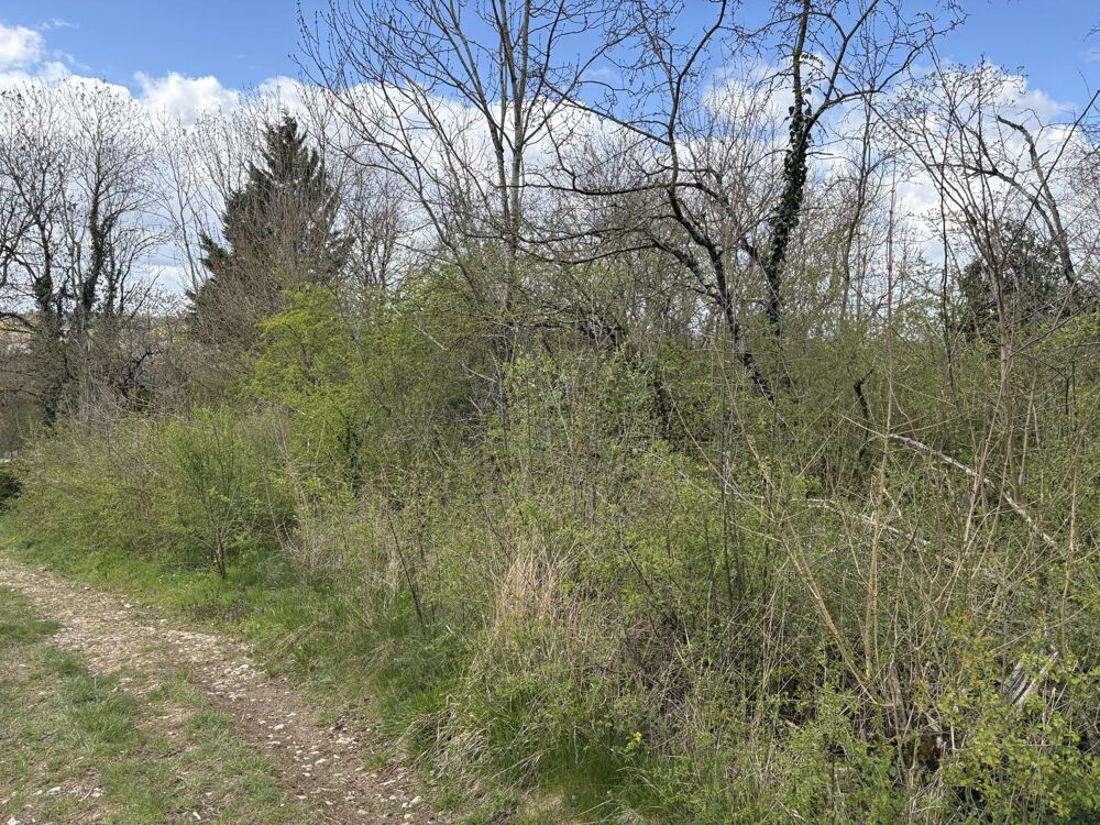 Vente Terrain Terrain constructible Meillonnas