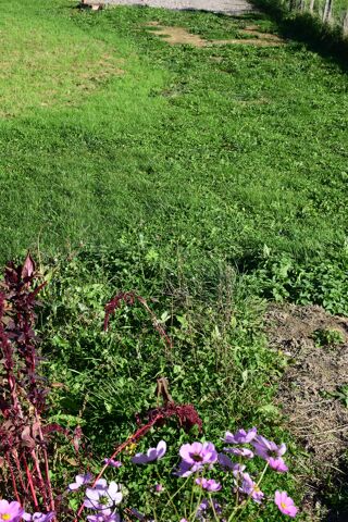  Terrain � vendre 496 m�