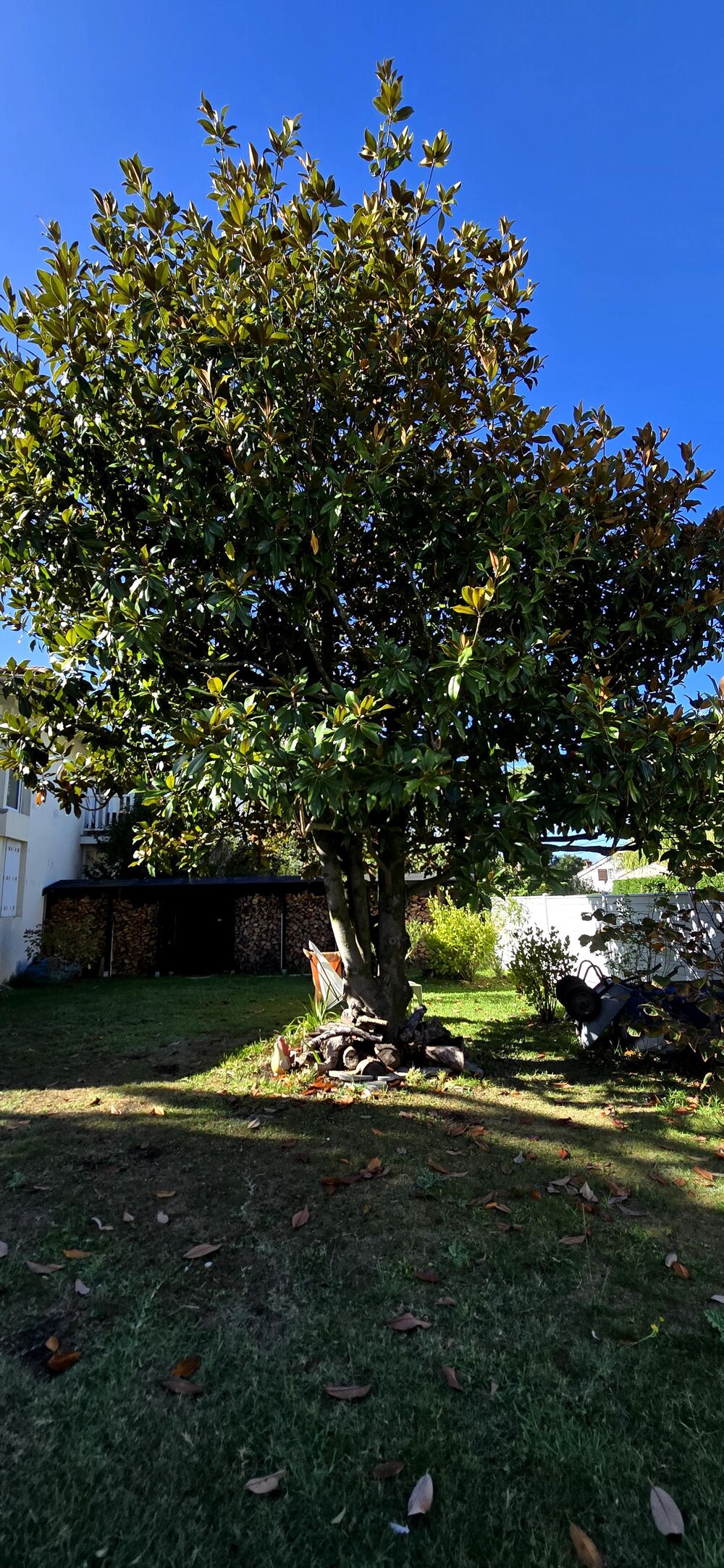 à vendre  Appartement Anglet (64600)