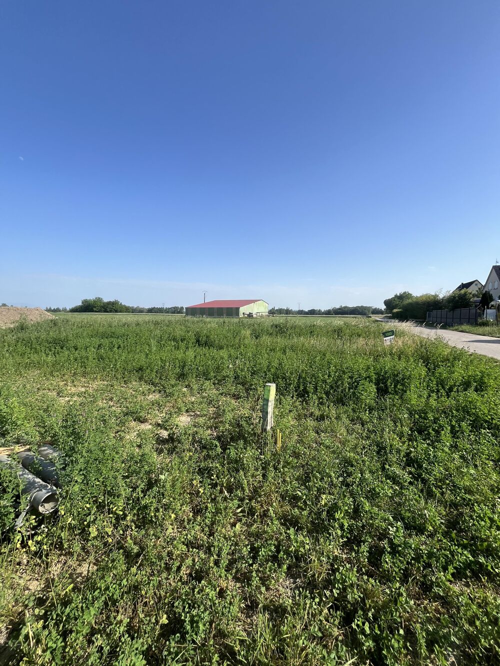 Vente Terrain Terrain constructible Saasenheim