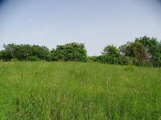  Terrain  vendre 1400 m L'isle-jourdain