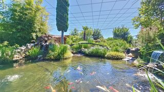  Maison � vendre 5 pi�ces 226 m�