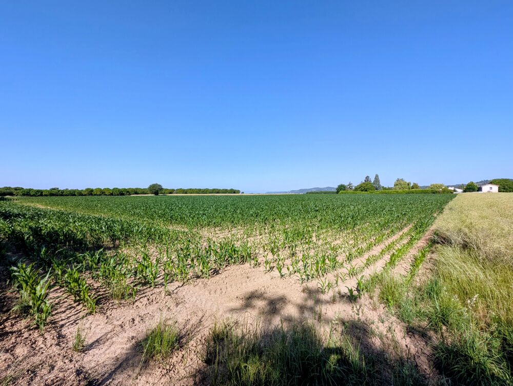 Vente Terrain Terrain agricole Châtillon-saint-jean