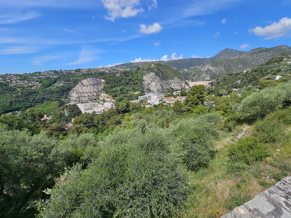 Vente Terrain Terrain Saint-andré-de-la-roche