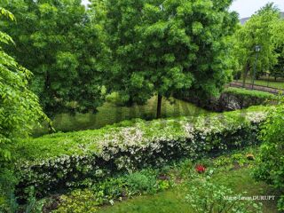  Appartement � vendre 4 pi�ces 1 m�