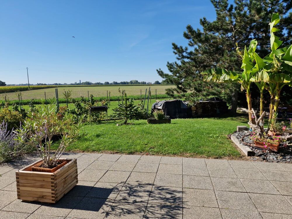 Vente Maison Maison 5 pièces Munwiller