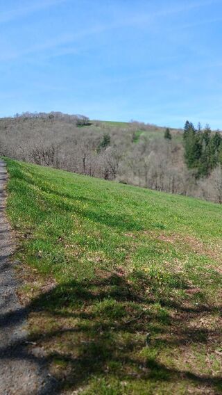  Maison  vendre 250 m