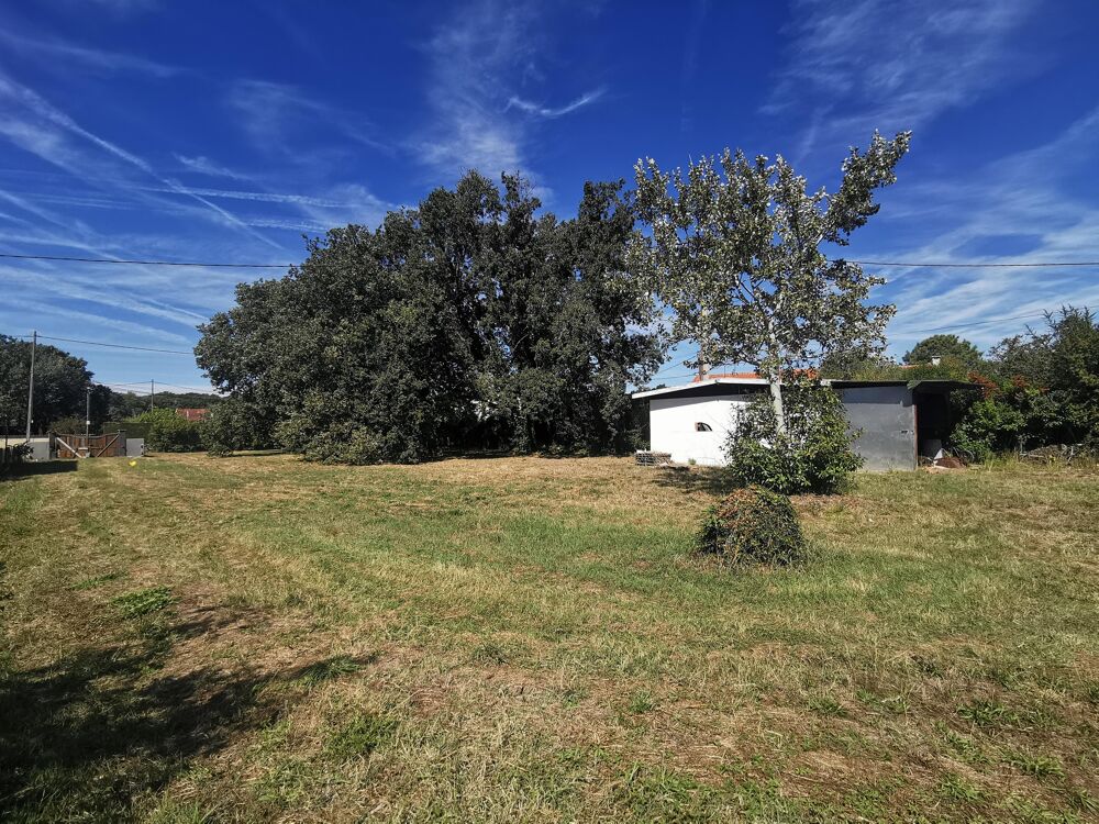Vente Terrain Terrain constructible Aussonne