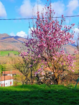  Maison � vendre 8 pi�ces 225 m�