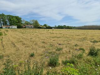  Terrain � vendre 646 m�