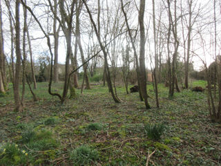  Terrain � vendre 3102 m�