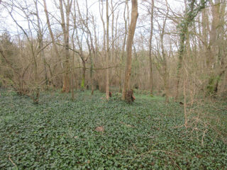  Terrain � vendre 3102 m�