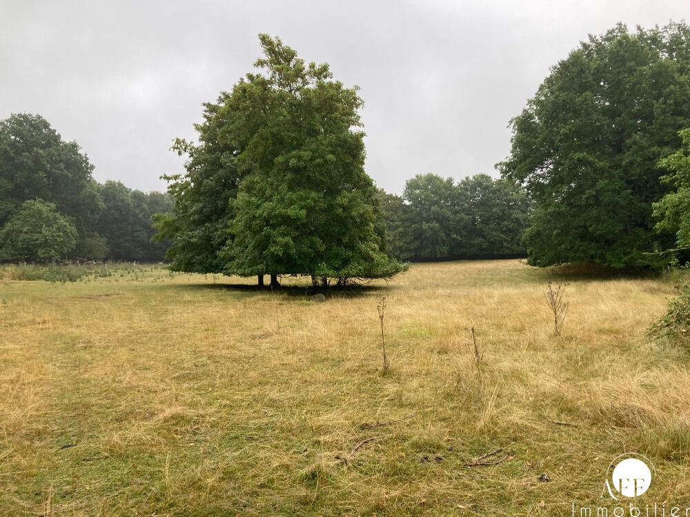 Vente Terrain A 20 mn de COULOMMIERS, Terrain en zone verte Rebais