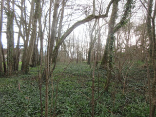  Terrain � vendre 3102 m�