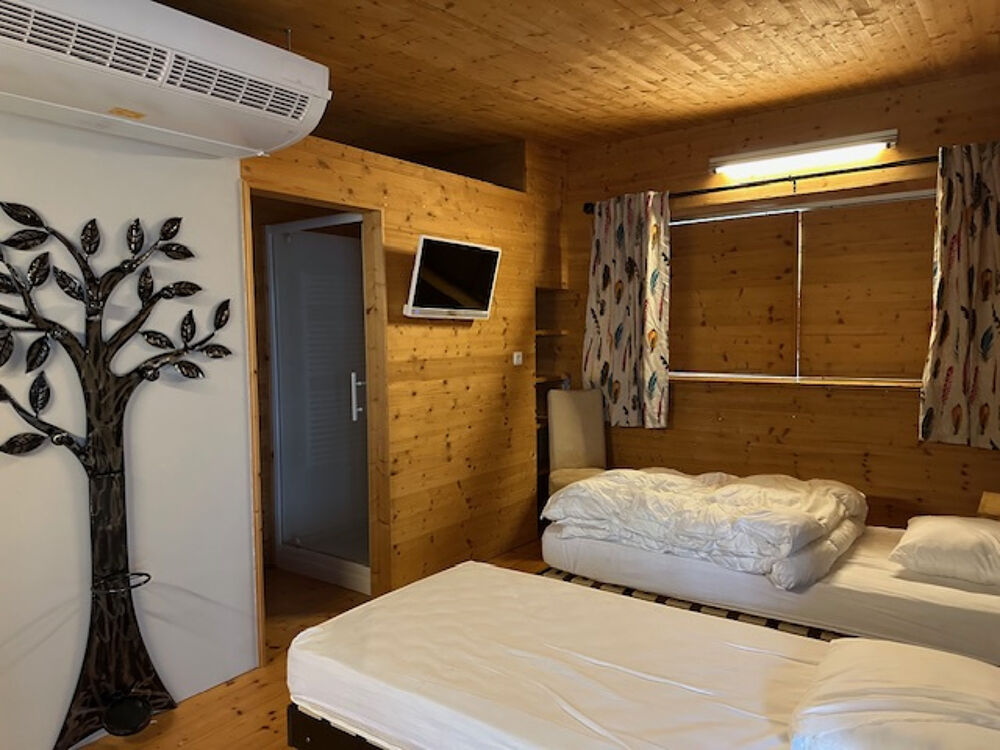 � vendre  Propri�t�/ch�teau Champagne (17620)