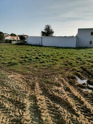  Terrain à vendre 1242 m²