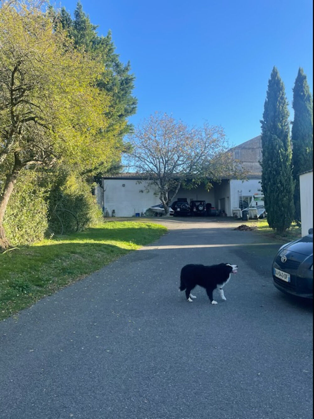 � vendre  Maison Chaillevette (17890)