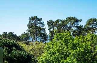  Appartement � vendre 2 pi�ces 39 m�