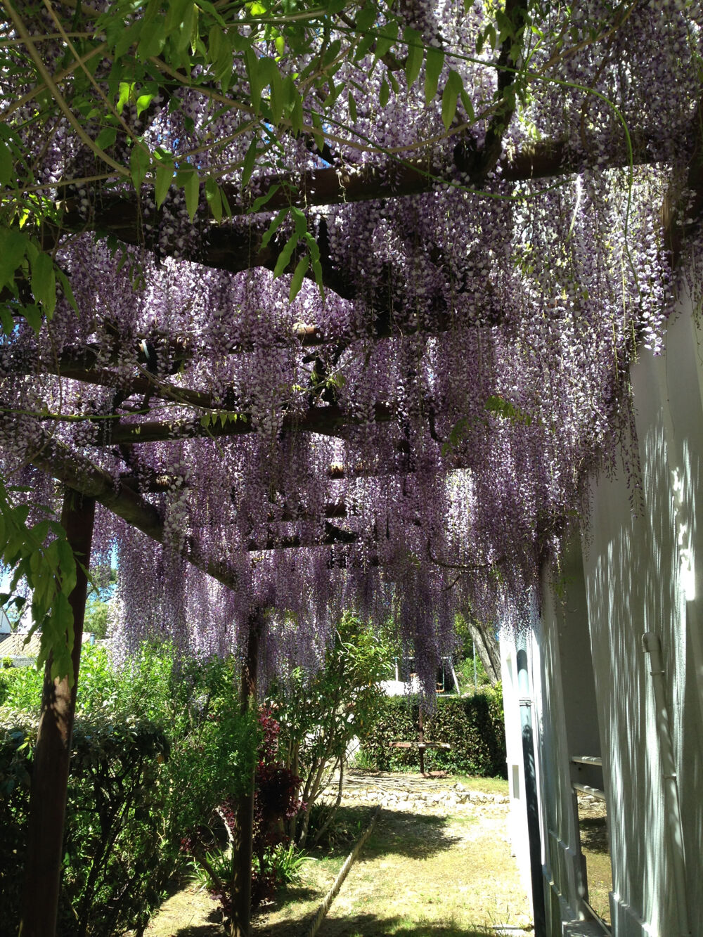 � vendre  Appartement Saint-Palais-sur-Mer (17420)