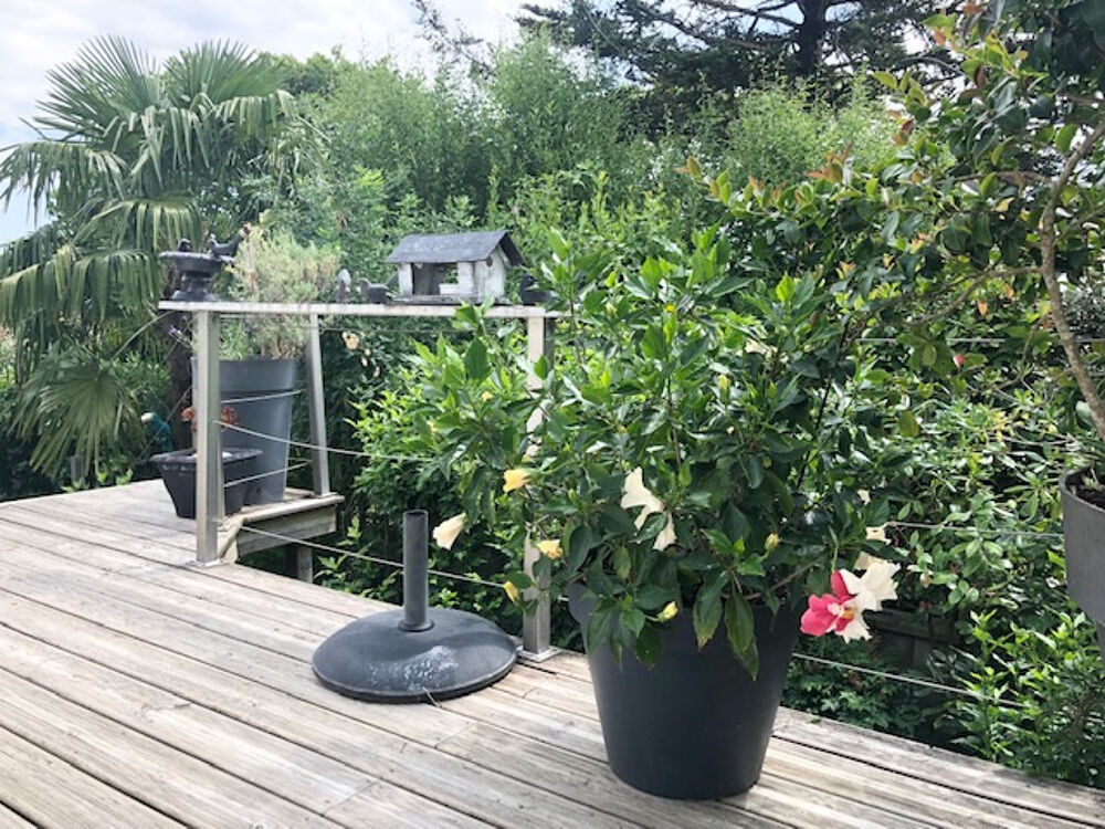 � vendre  Maison Royan (17200)